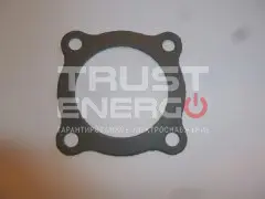 Прокладка крышки термостата/Thermostat cover gasket