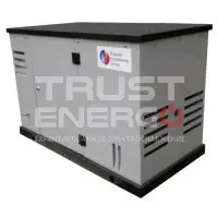 Газовый генератор REG ARCTIC GG10-380S с АВР В кожухе REG 680 trustenergo.ru Газовый генератор REG ARCTIC GG10-380S с АВР В кожухе REG 680 trustenergo.ru