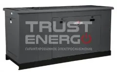 Газовый генератор Briggs & Stratton G290 с АВР В кожухе Briggs&Stratton Vanguard GM VORTEC trustenergo.ru